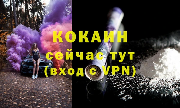 мяу мяу мука Иннополис