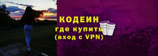 мяу мяу мука Иннополис