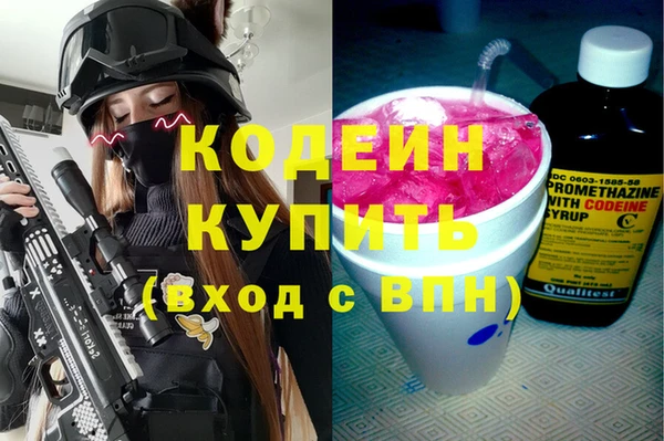 мяу мяу мука Иннополис