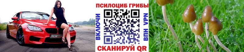 Псилоцибиновые грибы Psilocybine cubensis  Купить закладки  Вязники 
